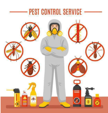 untitled design (16)